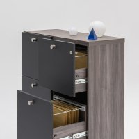 cabinet Mito: robinia, RAL7043
