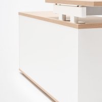 one-station desk Ogi U: canadian oak, RAL9010