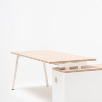 one-station desk Ogi M: canadian oak, RAL9010