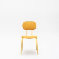 conference chair New School: Field FD-463, RAL0807060