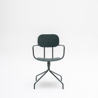 New School: RAL6012