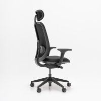office chair Ollie: Nemo NE-14, RAL9005