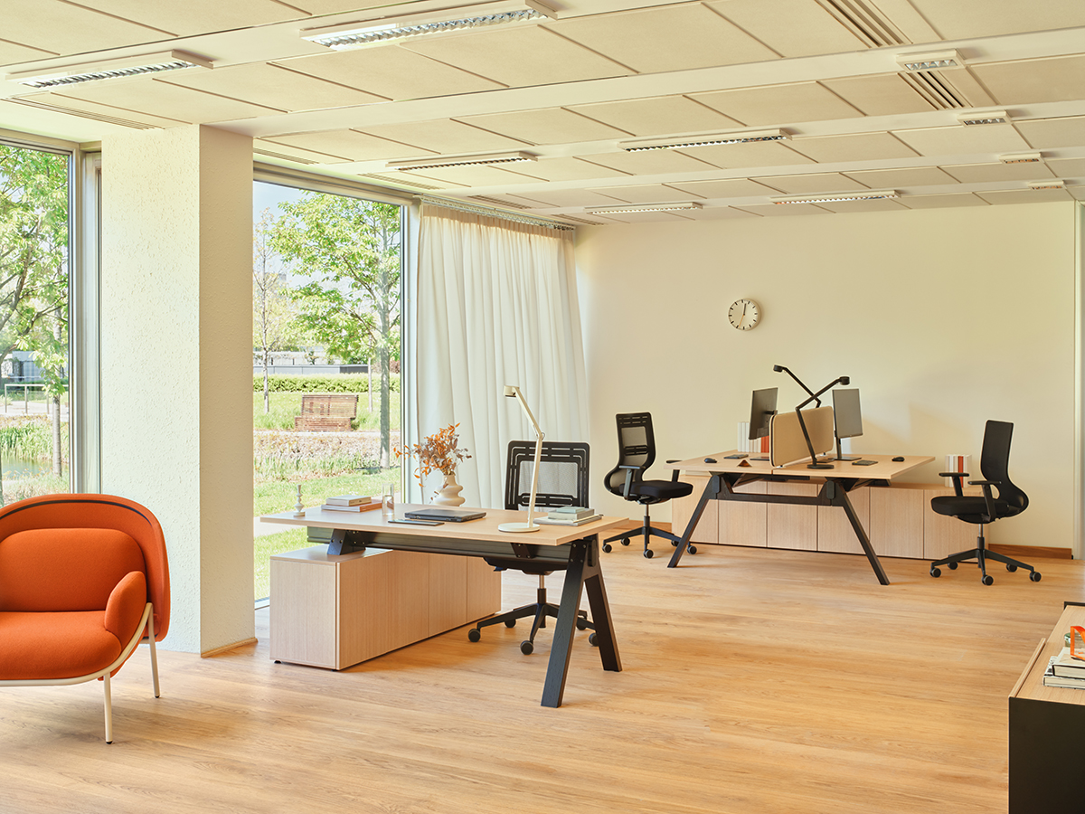 bench desk Viga: canadian oak