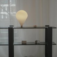 lamp Ely; bookcase Ligo: black oak