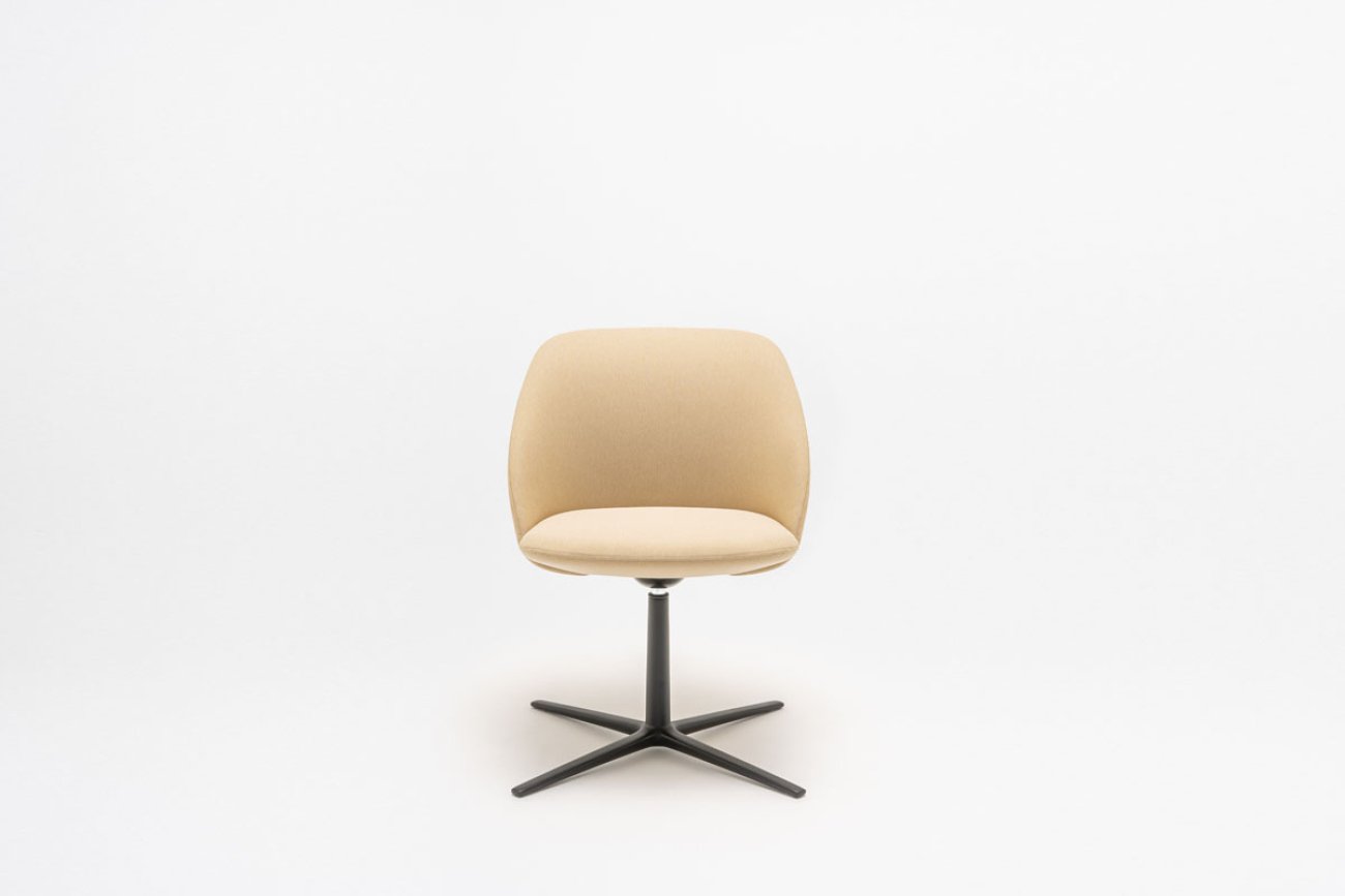 Lounge Fauteuil Met Draaibare Voetstuk Paralel