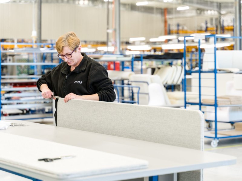 Women at Work – Insights from .mdd